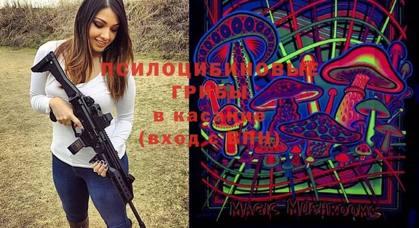 сатива Балахна